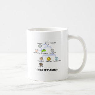 Mug Types de Plastids