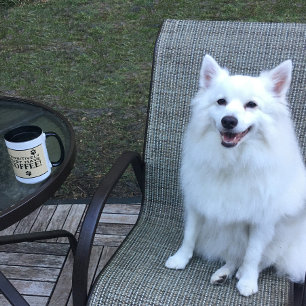Mug Typographie de patte de chien amateur de café mign