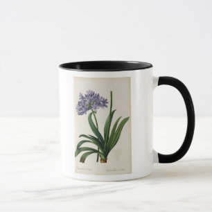 Mug Umbrellatus d'Agapanthus