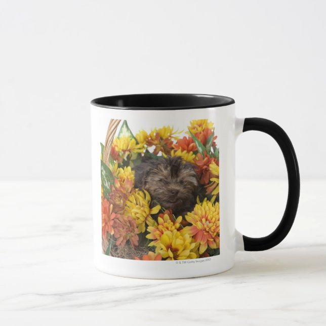 Mug Un chiot de Yorkie-Poo dans un panier d'artificiel (Droite)