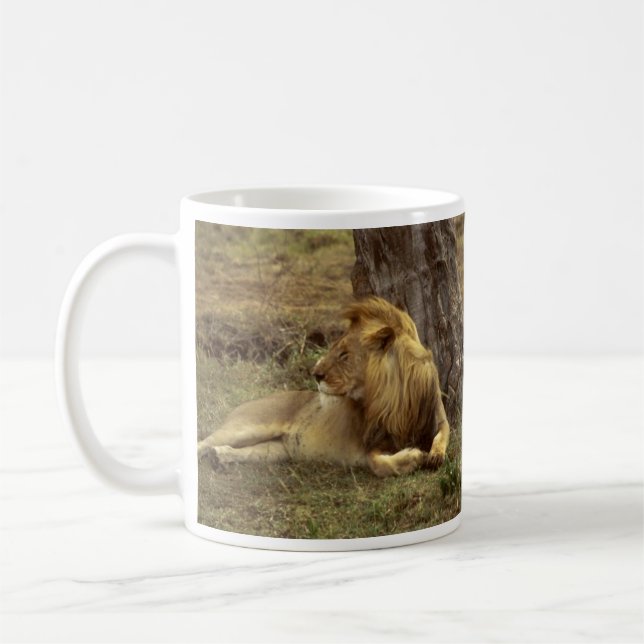 Mug Un lion africain mâle qui s'allonge sous une boue  (Gauche)