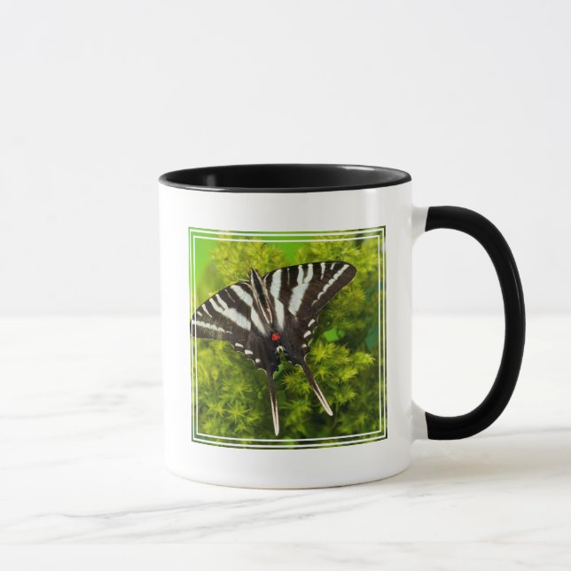 Mug Un papillon porte-queue nord-américain (Droite)