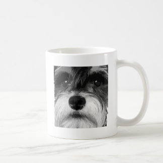 Mug Un Schnauzer miniature noir et blanc