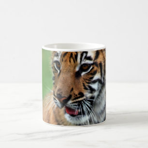 Mug Un tigre de bébé mignon