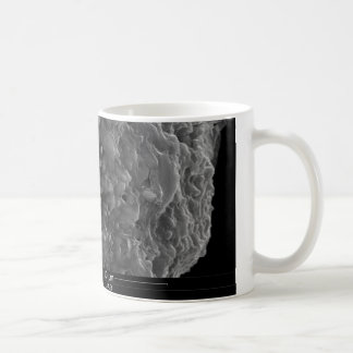 Mug Une fin vers le haut de vue d'une section