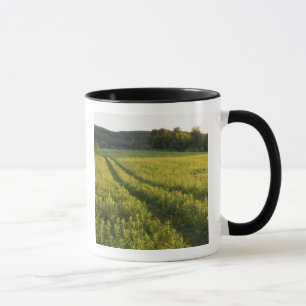 Mug Une route agricole dans Sabins Pasture à Montpelie
