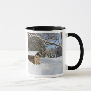 Mug Une scène enneigée à l'étang Little Lyford de l'AM