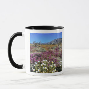 Mug USA, Californie, Anza-Borrego DSP. Soirée de dune