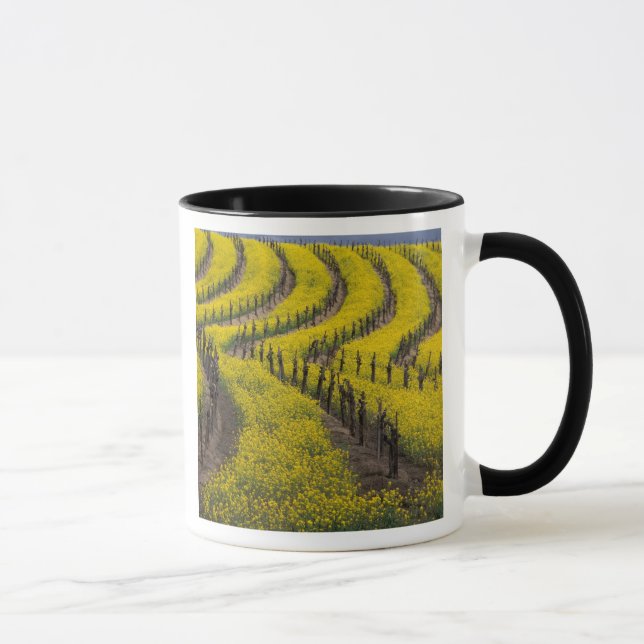Mug USA, Californie, Napa Valley, Los Carneros Ava. (Droite)