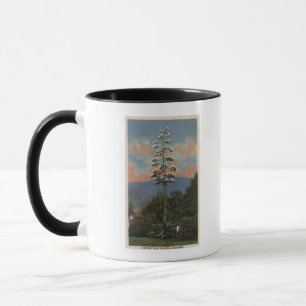 Mug Usine de CaliforniaCentury en fleur