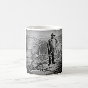 Mug Vallée CA de Yosemite de point de glacier de Tedd