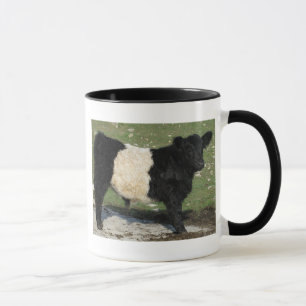 Mug Veau de Galloway ceinturé par noir mignon