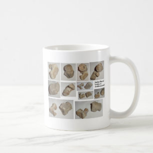 MUG VERTÈBRE MAMMIFÈRE FOSSILISÉE