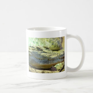 Mug vif