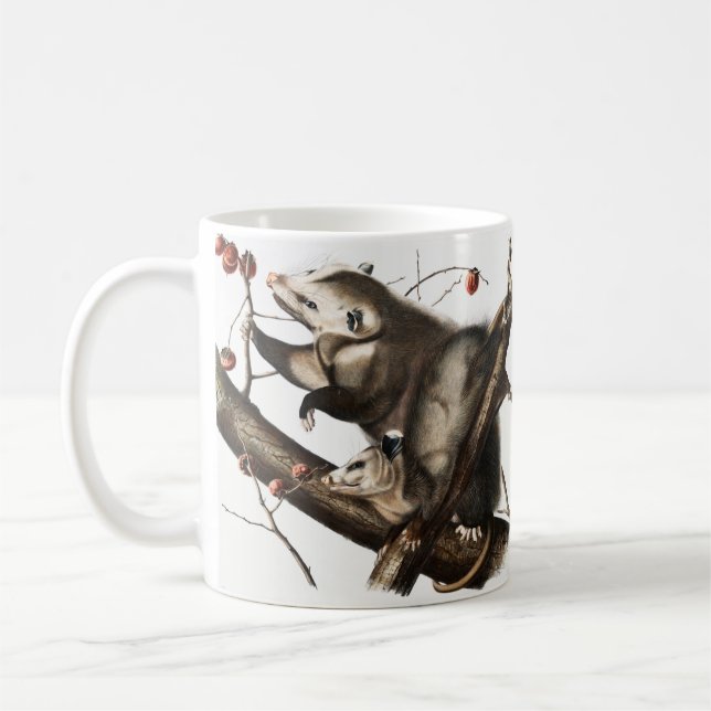 Mug Virginian Opossum Didelphis Virginia Illustration (Gauche)