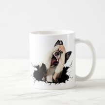 Visage de chien Fanny