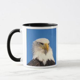 Mug Vue d'aigle chauve
