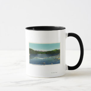 Mug Vue de bâti Washington et le Saco