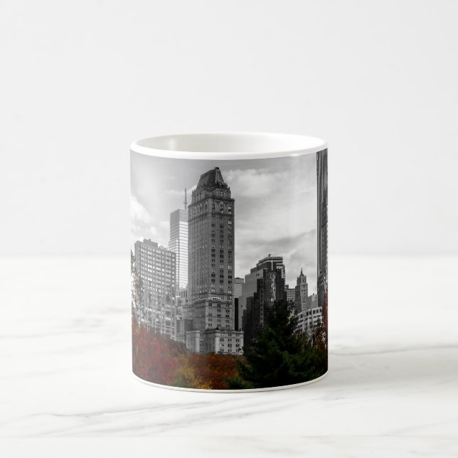 Mug Vue de Central Park à New York City (Centre)