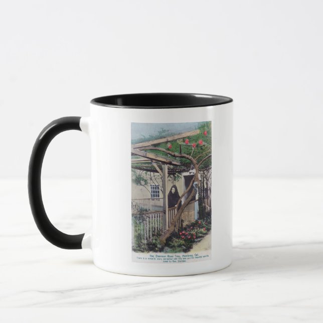 Mug Vue de Sherman Rose TreeMonterey, CA (Gauche)