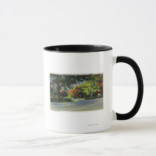 Mug Vue d'entrée à la Chambre du FDR