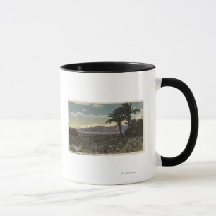 Mug Vue des dates s'élevant près de la mer de Salton