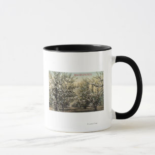 Mug Vue d'un verger de prune de 300 000 arbres