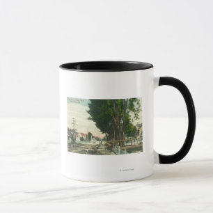 Mug Vue sud de Auburn Street