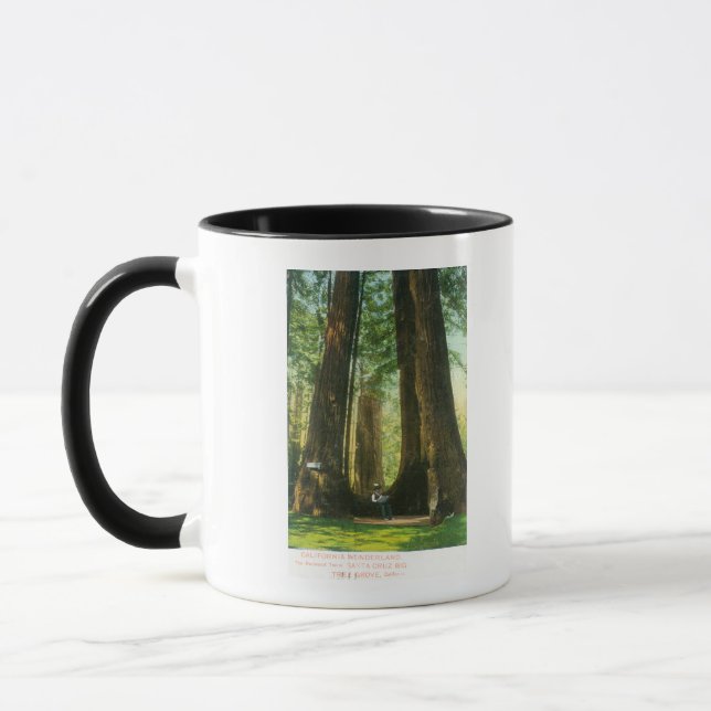 Mug Vue sur Redwood Twins à Big Tree Grove (Gauche)