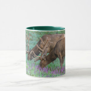 Mug Wapitis mâles, parc national de Rocky Mountain, Co