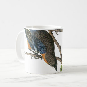 Mug Western Bluebird par Audubon