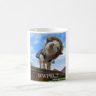 Mug - What Would Percy Do?