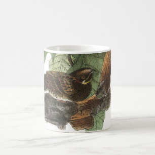 Mug Whip-poor-will par Audubon