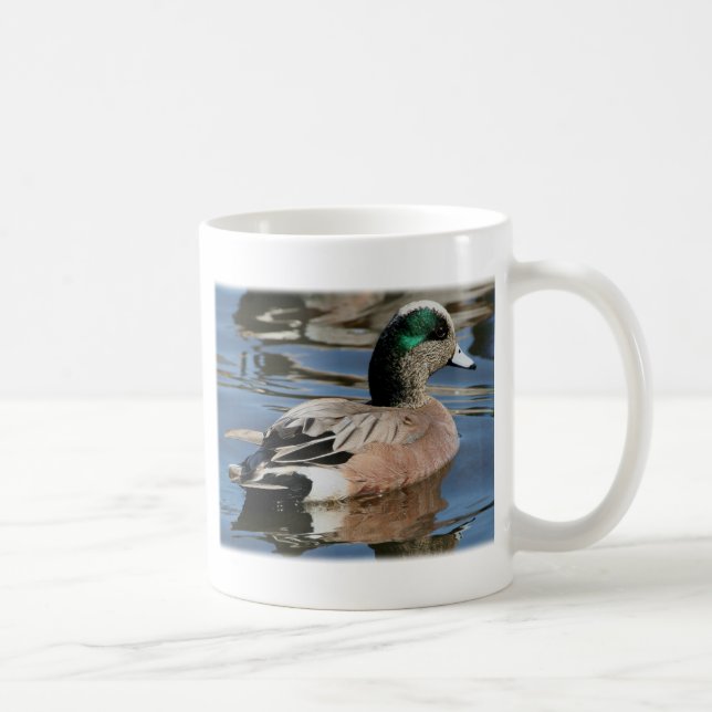Mug Widgeon américain Drake (Droite)