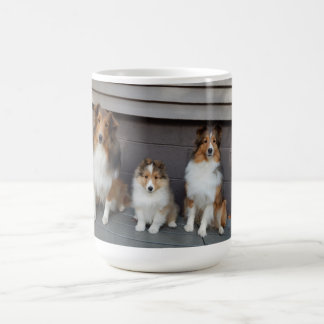 Mug with original photo 3 Shelties