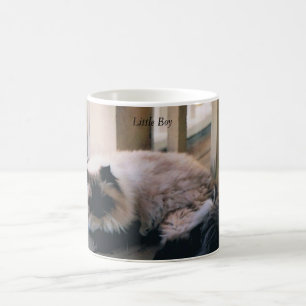 Mug with Photo of a Himalayan Cat