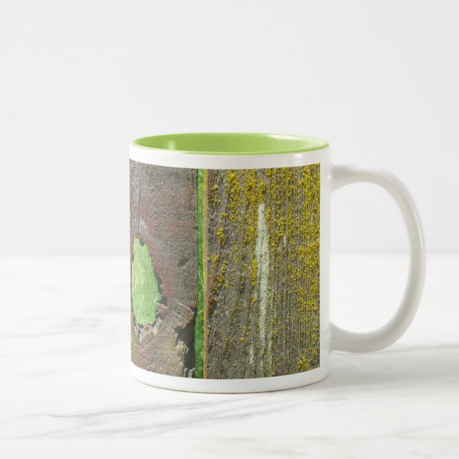 Mug - Wooden Fence with Moss (Right)