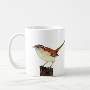 Mug Wren