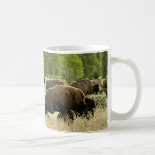 Mug Wyoming Bison Nature Animal Photographie