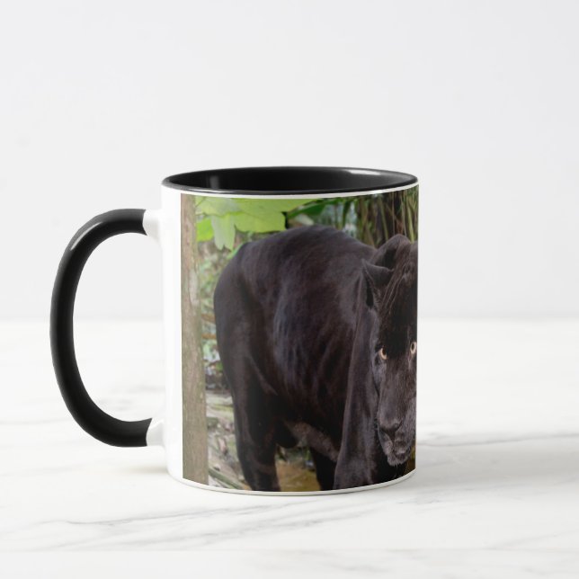 Mug Zoo de Belize City. Panthère noire (Gauche)