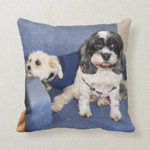 Muggles - Lhasa Apso Throw Pillow