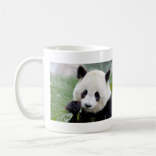 Mugs photo giant panda. Panda geant.