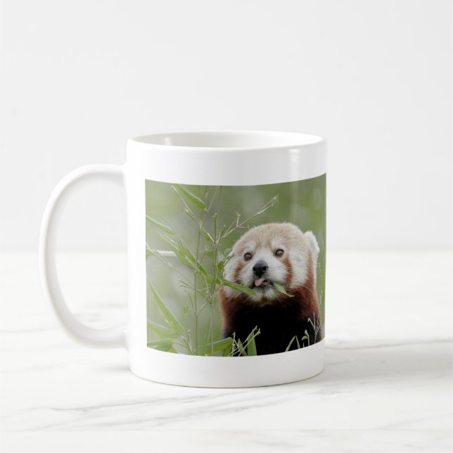 Mugs photo red panda. Panda roux. animals. (Left)