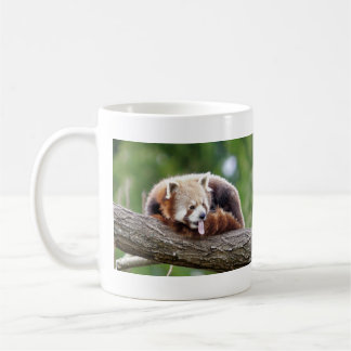 Mugs photo red panda. Panda roux. animals.