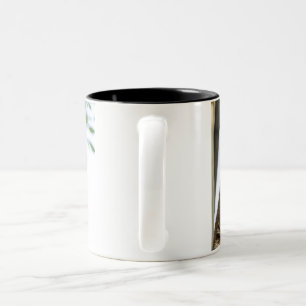 Mugs & Tasses