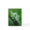 Muguet