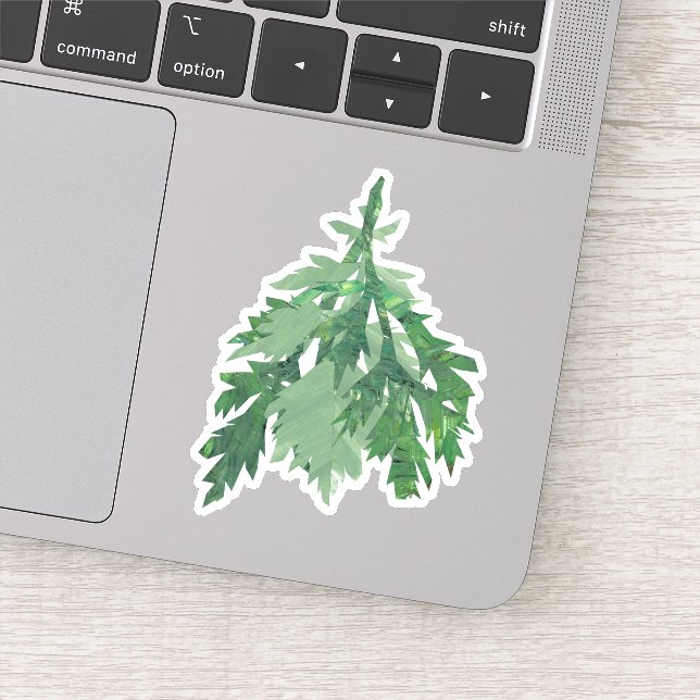 Mugwort (Bollan bane) (Detail)