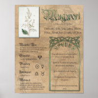 Mugwort Herbal Book of Shadows Pagan Wiccan