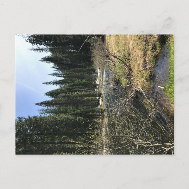 Muir Creek, Oregon Postcard (Front)