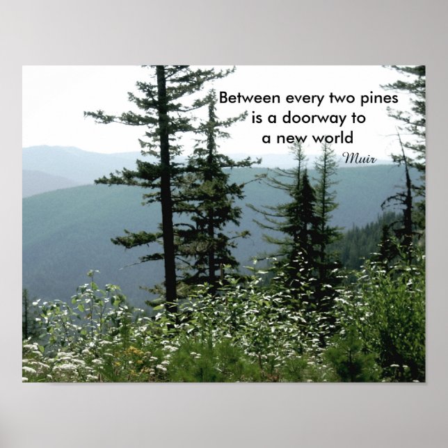 Muir quote poster nature photography mountain pine (Front)